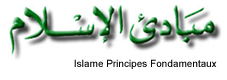 Islam, principes fondamentaux